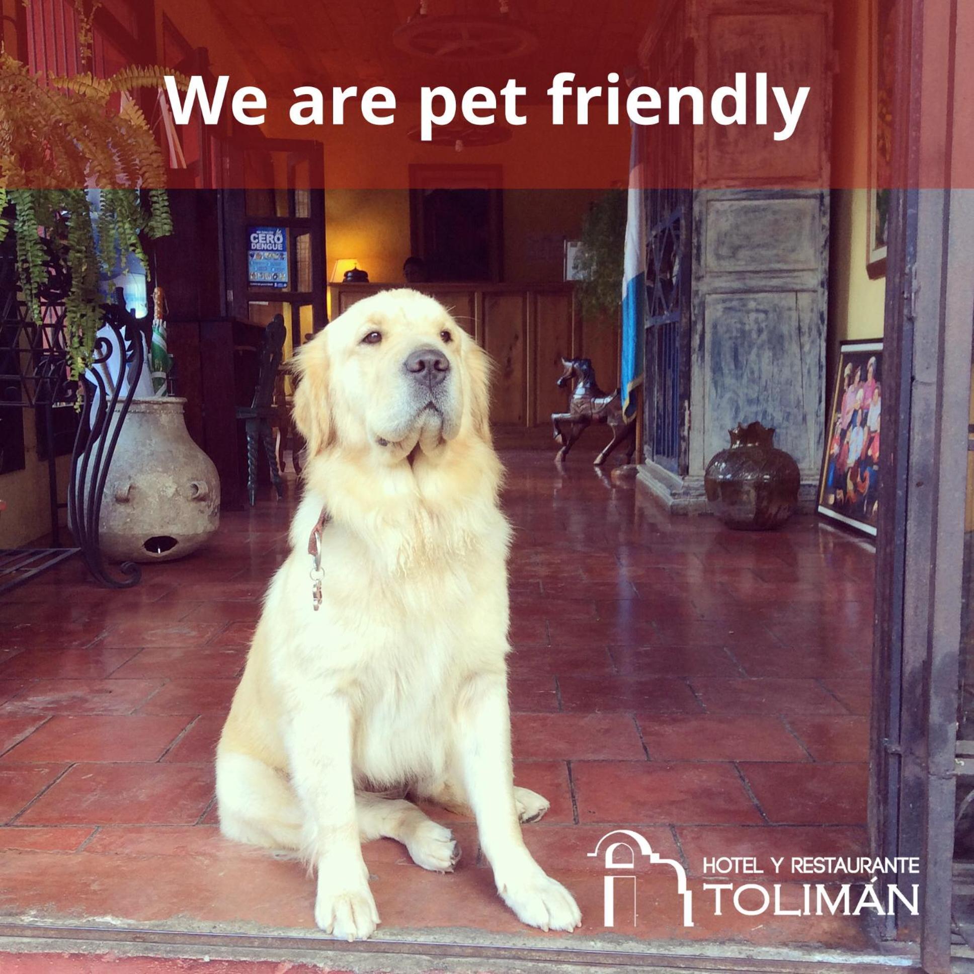 Hotel Toliman San Lucas Tolimán 外观 照片
