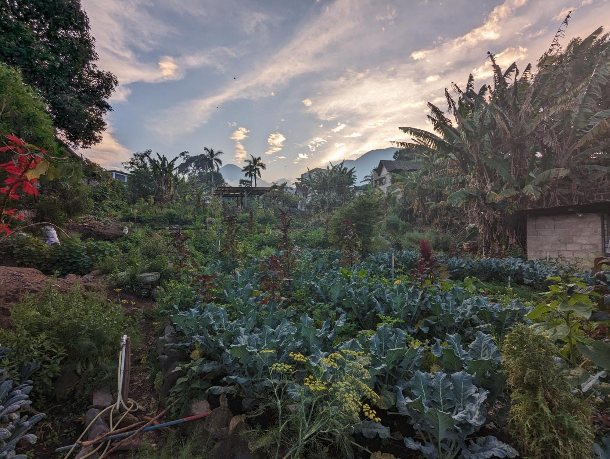 Hotel Toliman San Lucas Tolimán 外观 照片